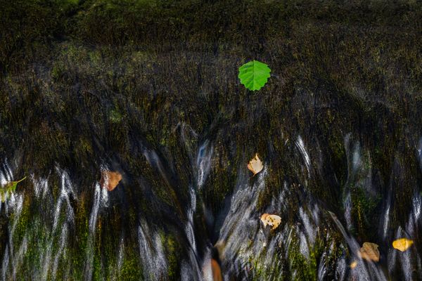 346 Ins Bild gemogelt (bearbeitet)