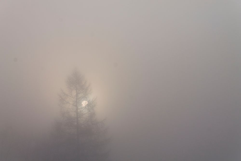 Nebel von Rainer Wallmann