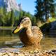 Dolomite duck