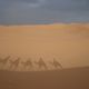 Schatten in der Sahara