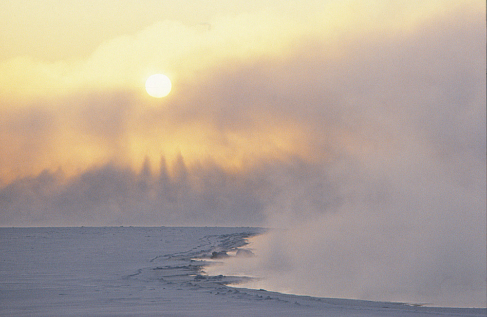 - 35 C. Lappland 1983