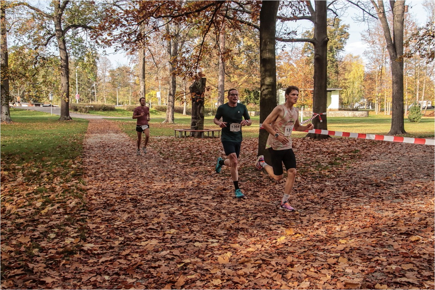 35. Glauchauer Herbstlauf 11