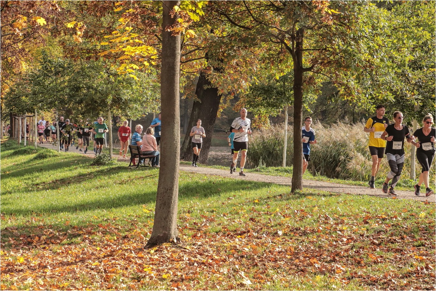 35. Glauchauer Herbstlauf 16