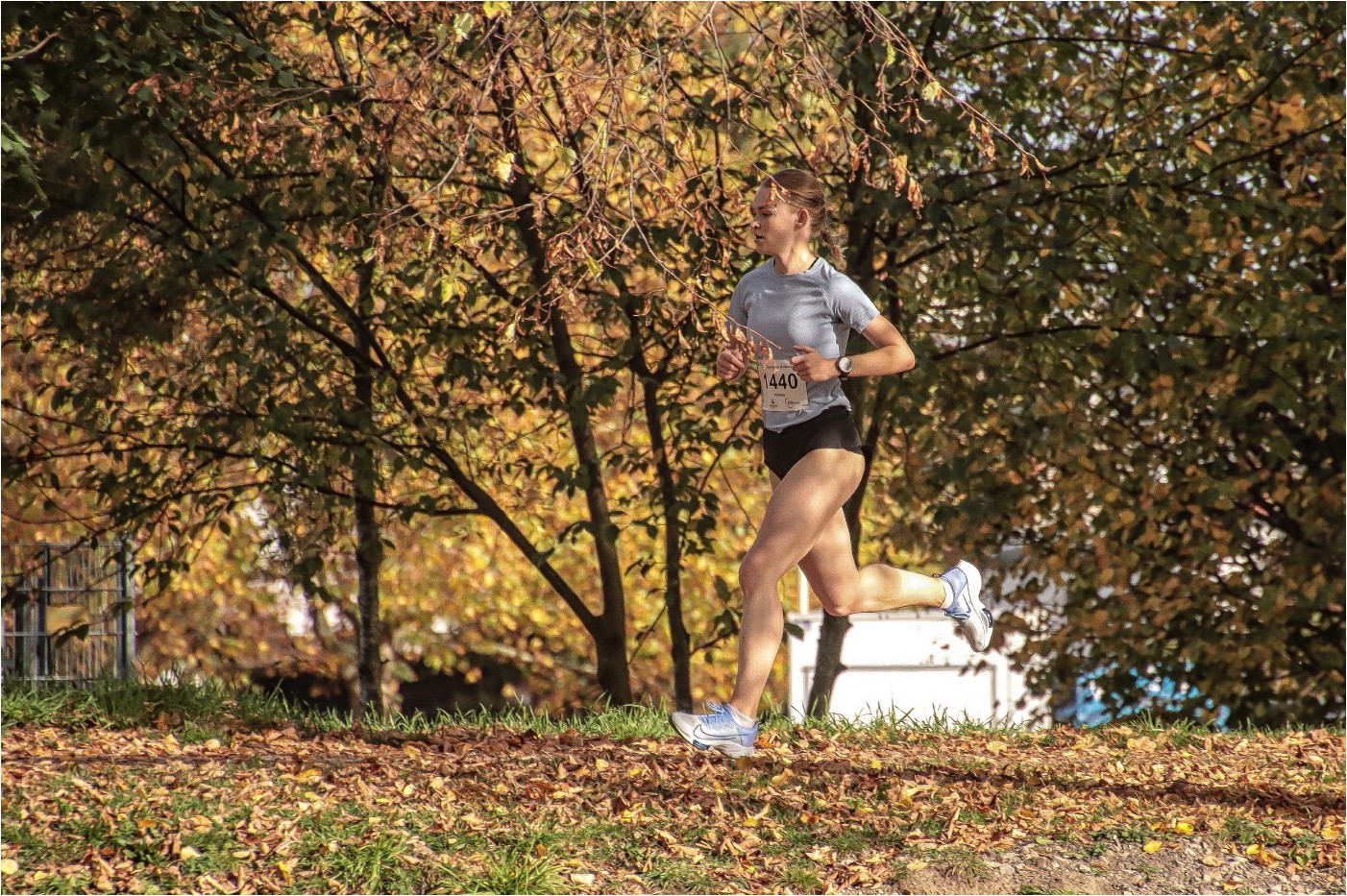 35. Glauchauer Herbstlauf 4