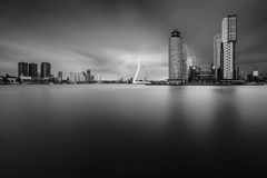 350 Rotterdam Skyline