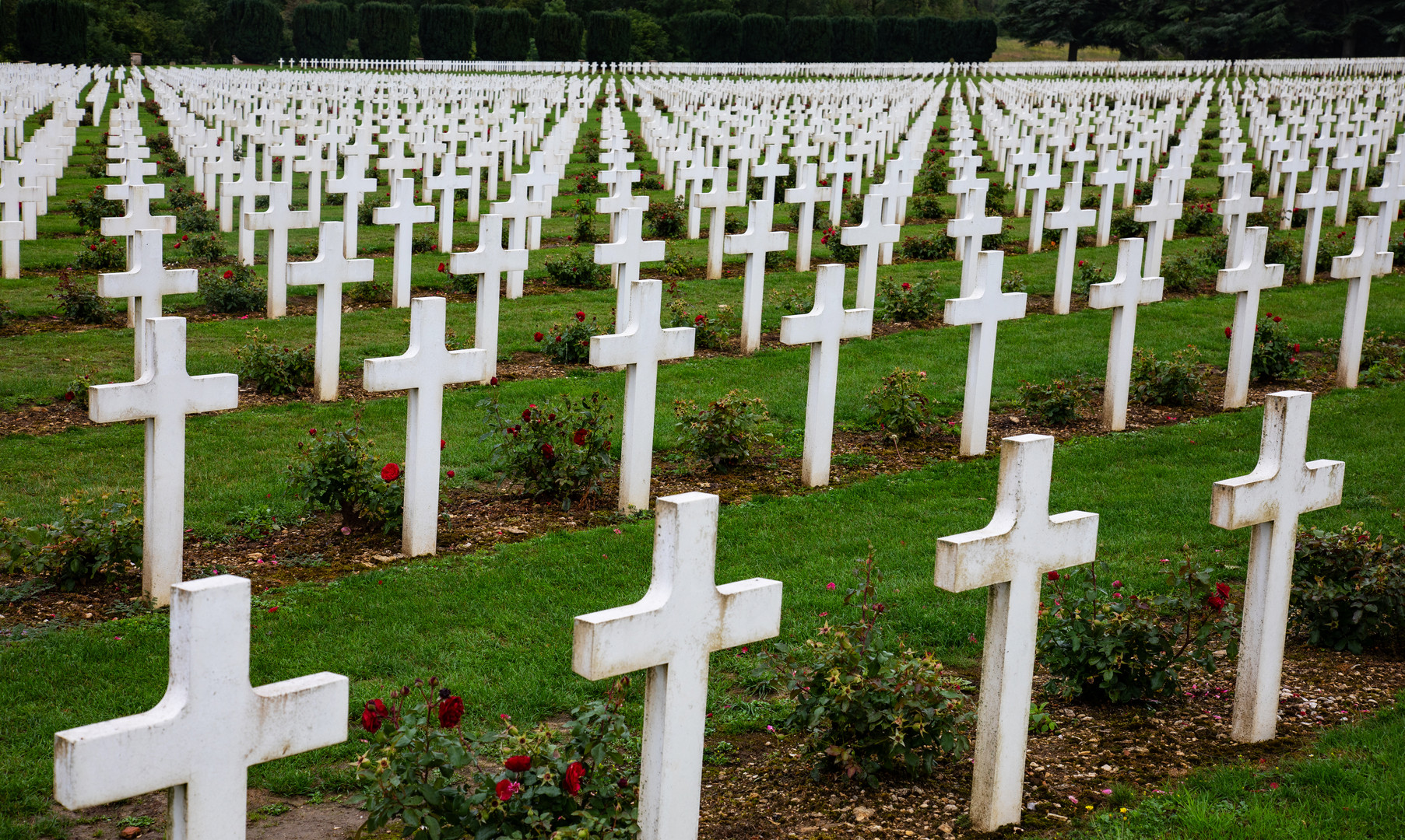 350.000 tote Soldaten bei Verdun