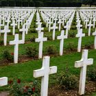 350.000 tote Soldaten bei Verdun