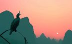 A Bird at Sunset von Oh Yin Fee aka Hu Yinghui