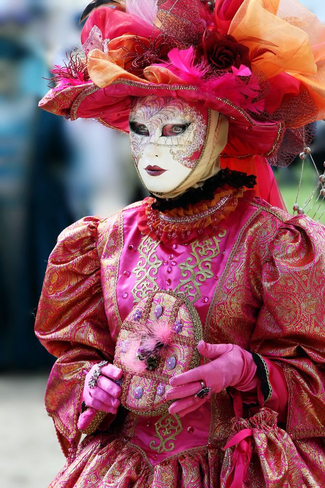 3538...Masque de Venise à Soisy sur seine