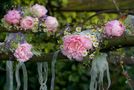 Fein gemacht für die Hochzeit by Mara Faber