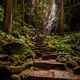 Treppe hoch zum Burgbachwasserfall im Schwarzwald