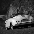 356 Speedster blickt auf den Donaudurchbruch