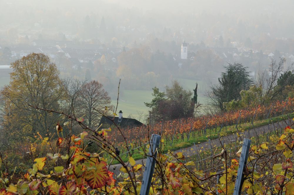 Novemberwetter von eliuvi2 