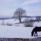 Entspannt im Schnee