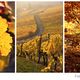 Herbstcollage