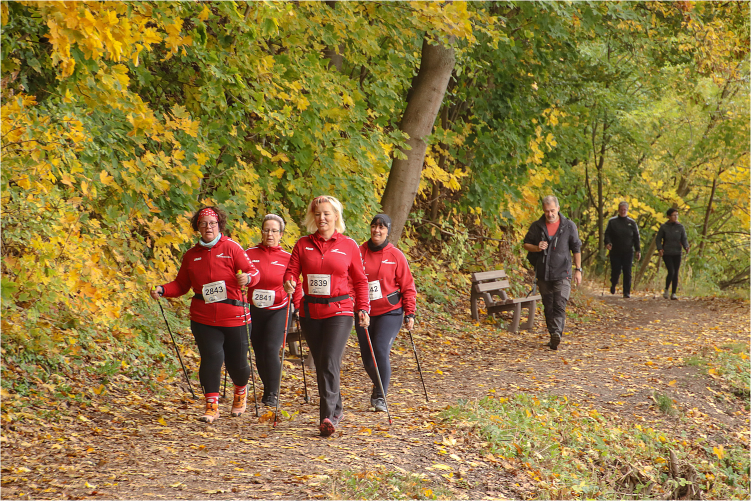 36. Glauchauer Herbstlauf 13