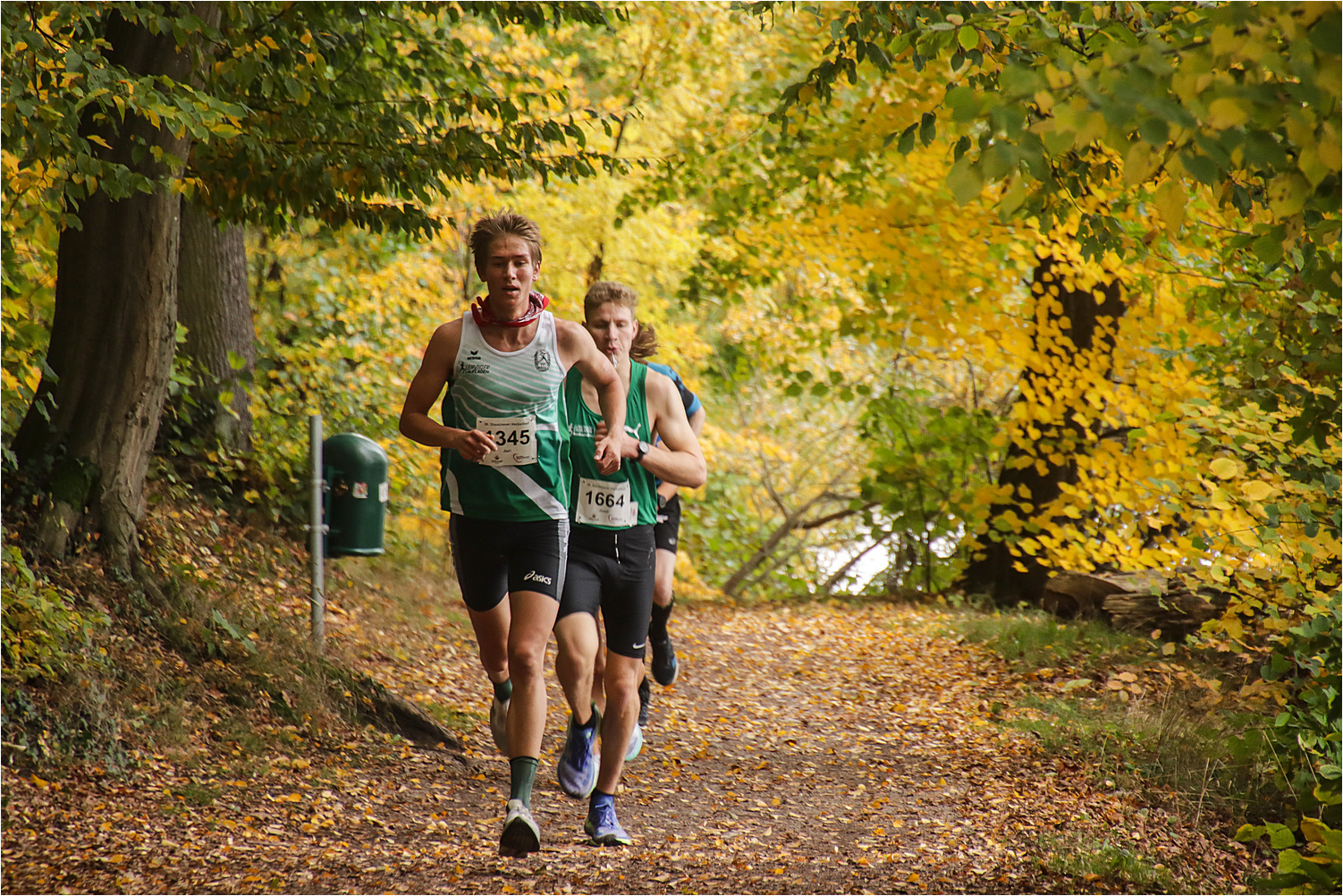 36. Glauchauer Herbstlauf 9