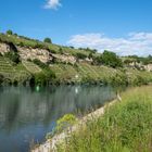 36-Naturschutzgebiet Zugwiesen am Neckartalradweg