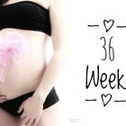 36 WEEKS 