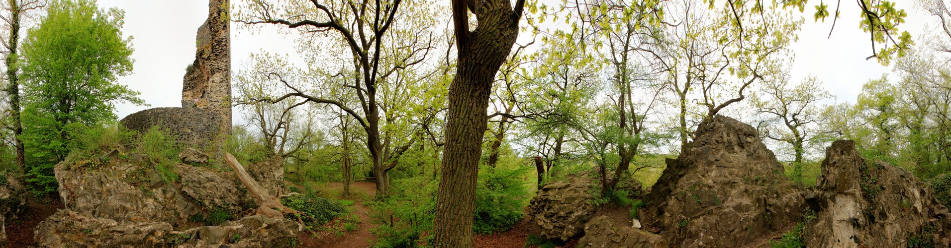 360 Grad im Wald bei der Tomburg-Ruine