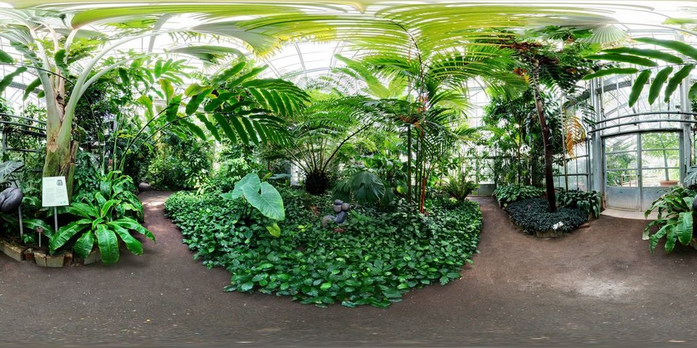 360° Panorama Botanischer Garten Bonn / Palmenhaus Foto