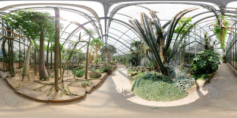 360° Panorama Botanischer Garten Bonn / Sukkulentenhaus
