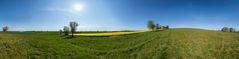 360° purer Sonnenschein ...