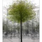 | 360°tree |