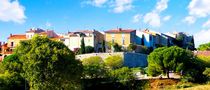 Le Castellet dans le vert by JeanPierre