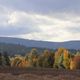 Landschaft in Herbstfarben