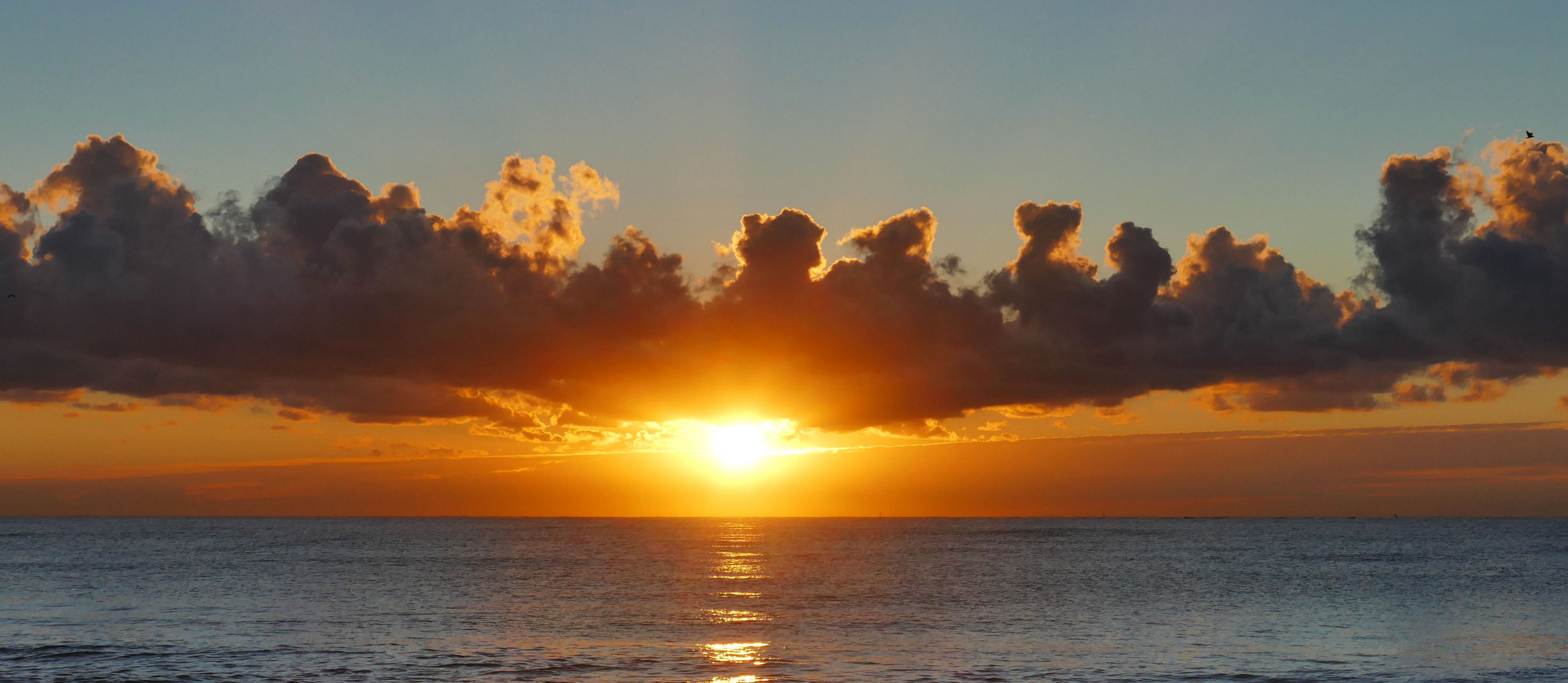 ...365 Tage Sonnenschein... Foto & Bild europe, spain, andalusien
