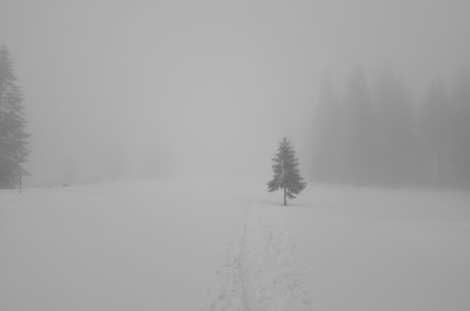 366-319: Arber im Nebel