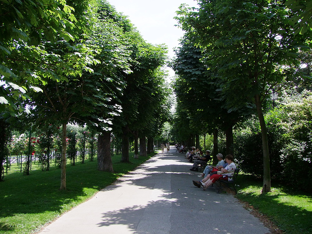 36°C ist in Wien zu erwarten!