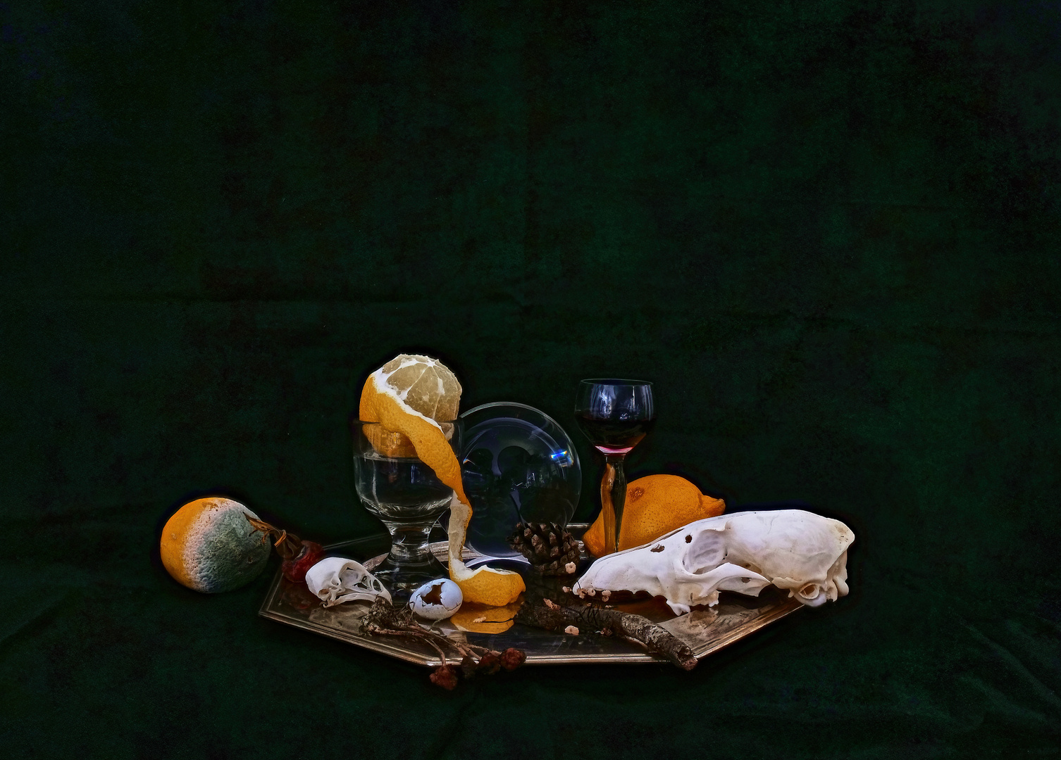 36c-vanitas5-studio-030923-sigma16