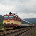 371 005 "Pepin"