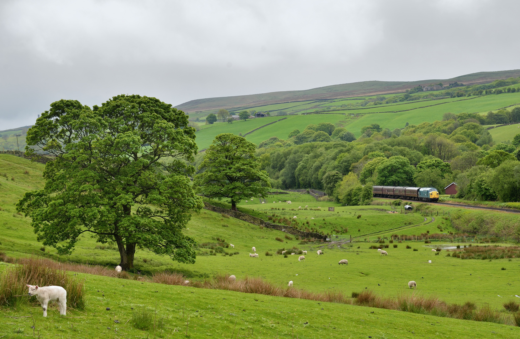 37109 der ELR am 21.05.16 beim Hp Irwell Vale