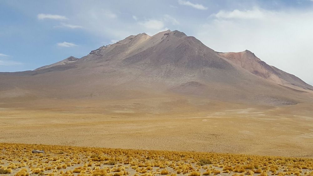 Bezaubernde Atacama von Ruth Kübli
