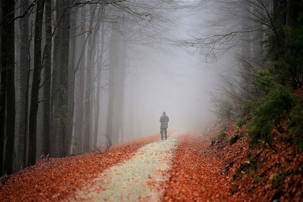 Der Weg ist das Ziel von Fritz Eichmann