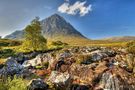 Buachaille Etive Mòr von Walter Niegoth