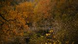 Otoño en Galicia de Dani Vazquez