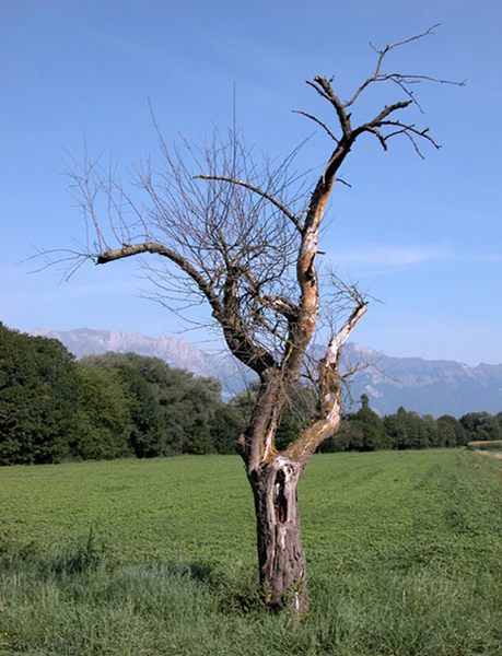 "37°C " oder "am Ende angelangt"