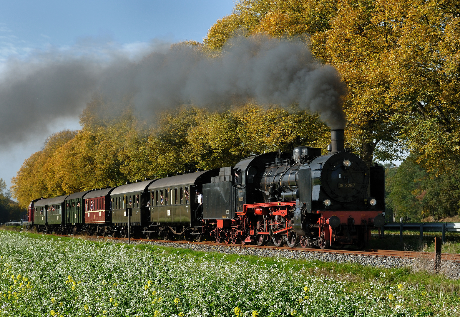 38 2267 im herbstlichen Münsterland