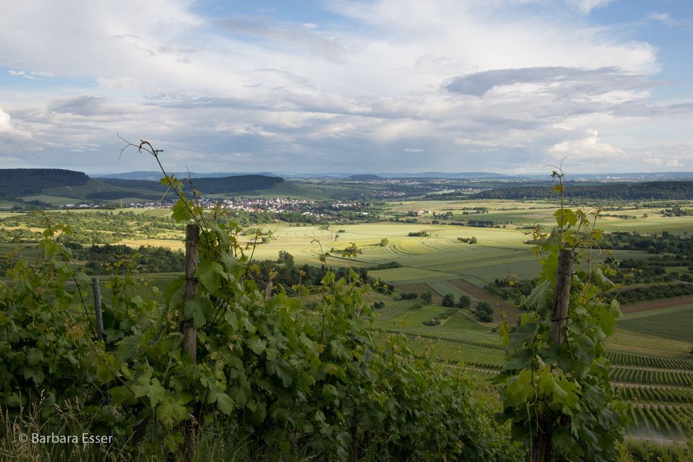 38-Aussichtsberg Wunnenstein mit Blick über das Bottwartal