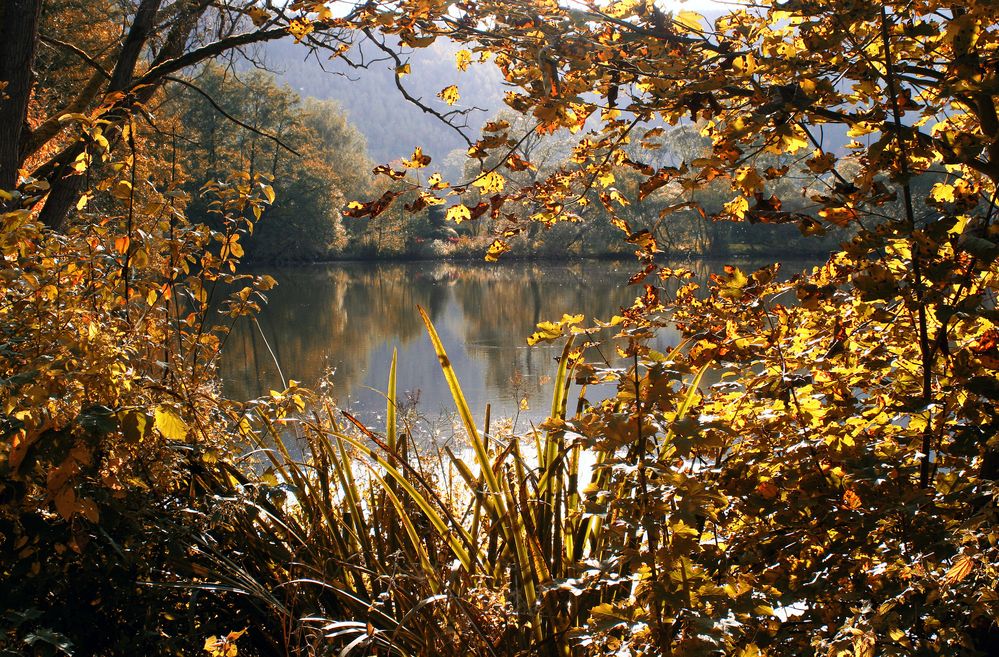 Weiher in Wittgenstein von Heinz Seelbach