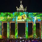 3812SN Brandenburger Tor Festival of Lights Berlin