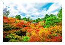 Tofuku-ji in Kyoto im Herbst von mike-de 