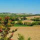 La campagne gersoise au printemps