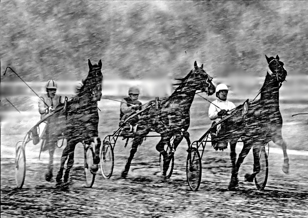 3842....sur l'hippodrome de Vincennes