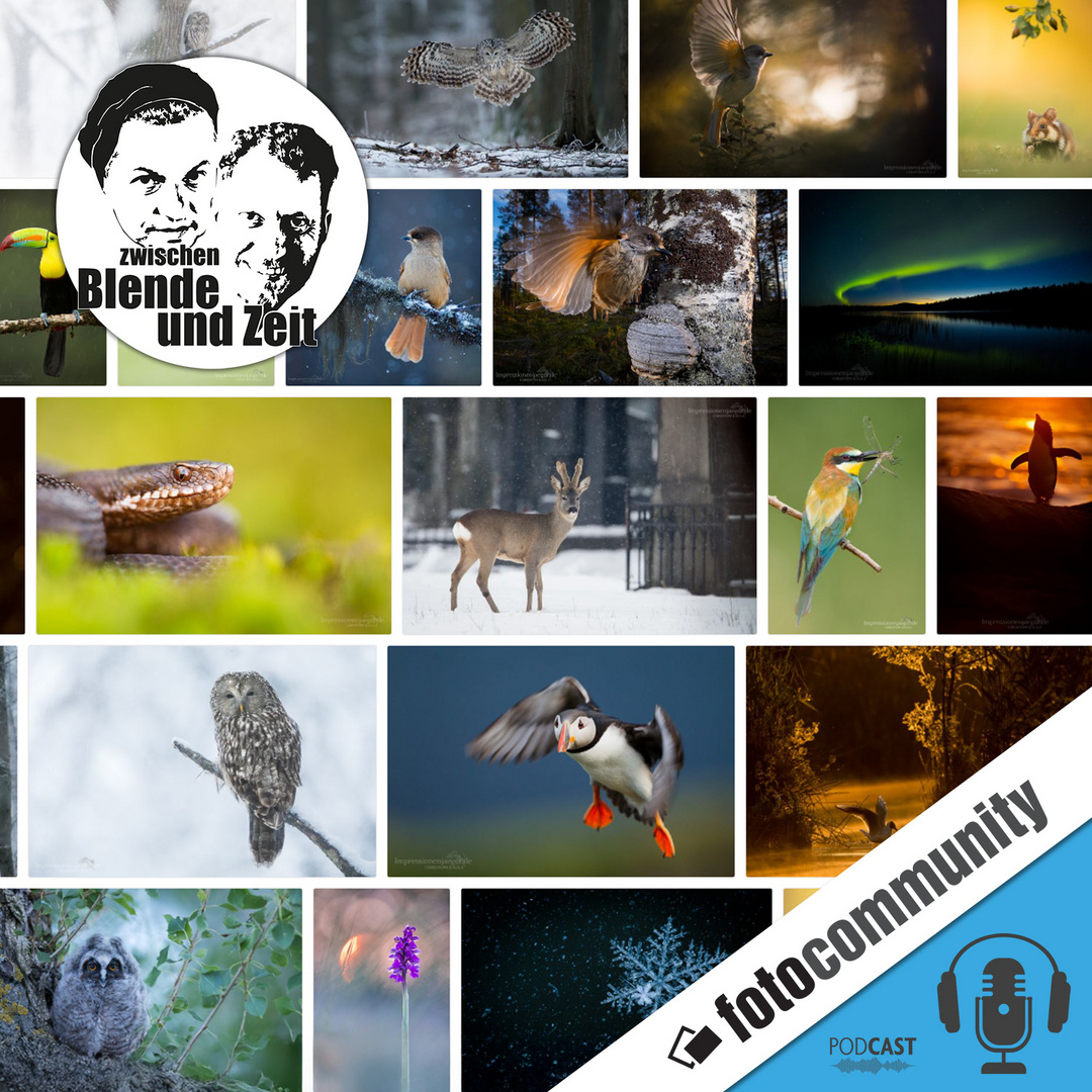 385 - Vorgestellt: Zwischen Biologie und Bildkunst - Chris Kaula