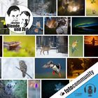 385 - Vorgestellt: Zwischen Biologie und Bildkunst - Chris Kaula